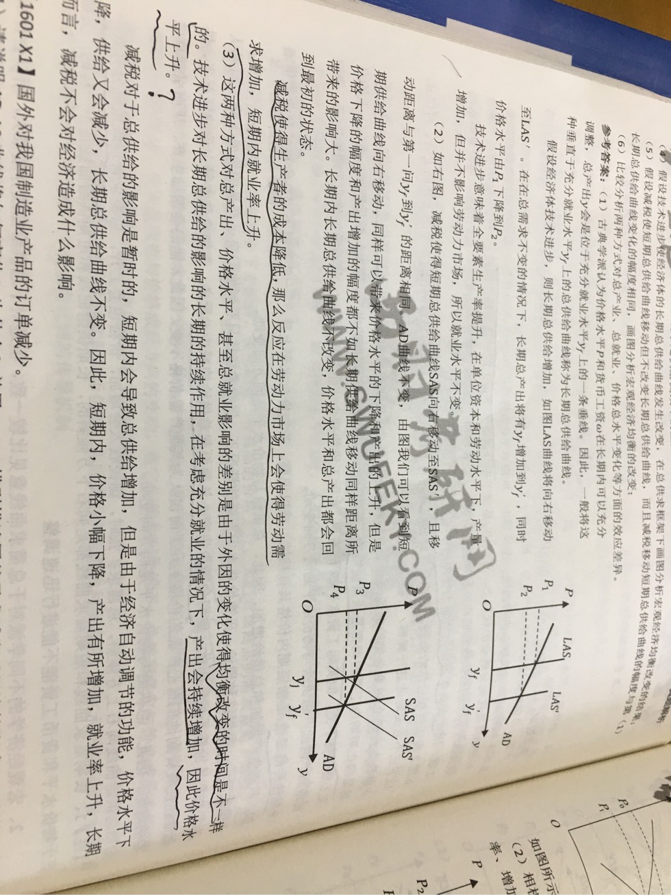 161656qniz6wr6jzlprmei.jpg