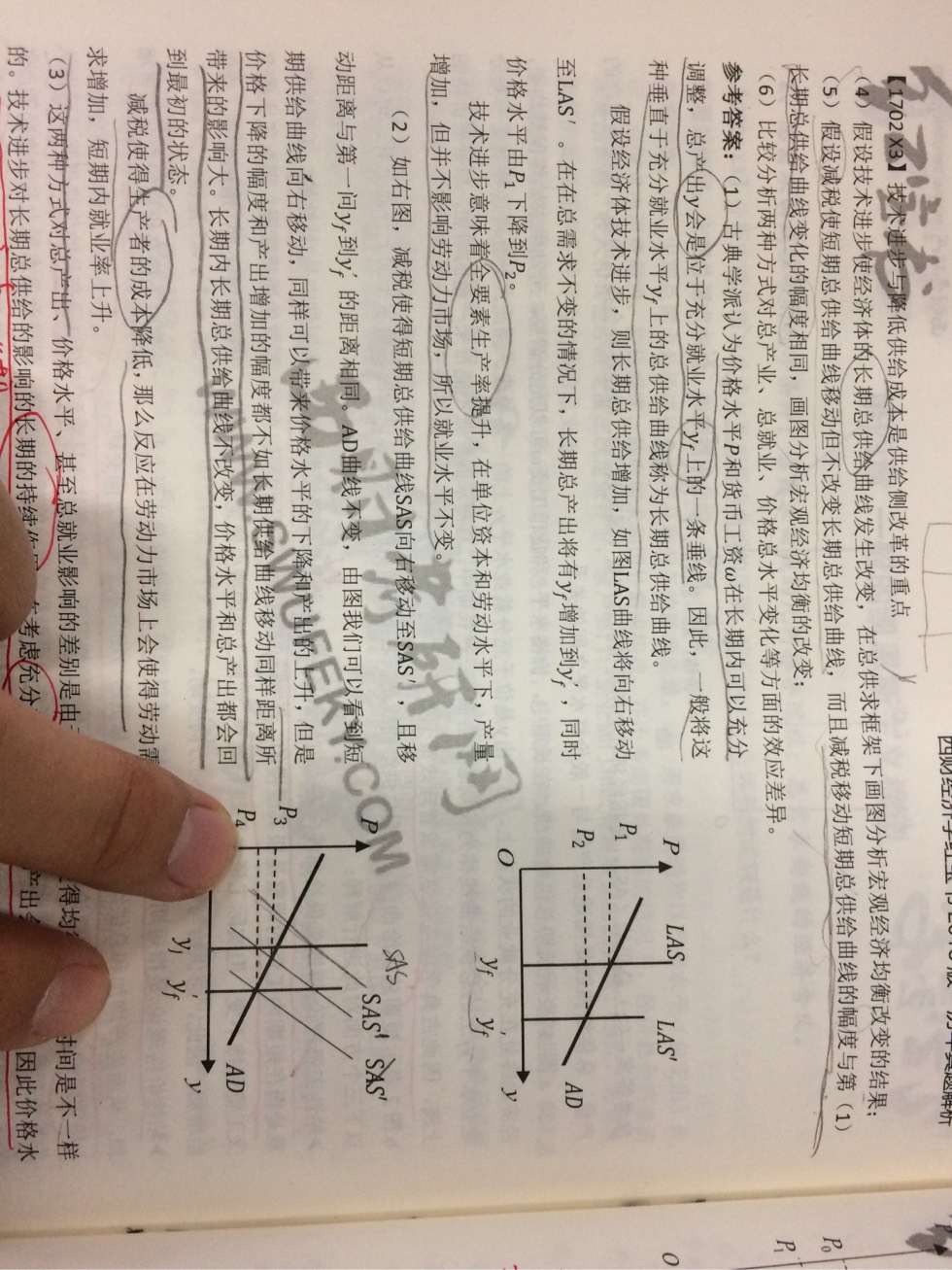 211115l3f3yrjxpdpxpafz.jpg