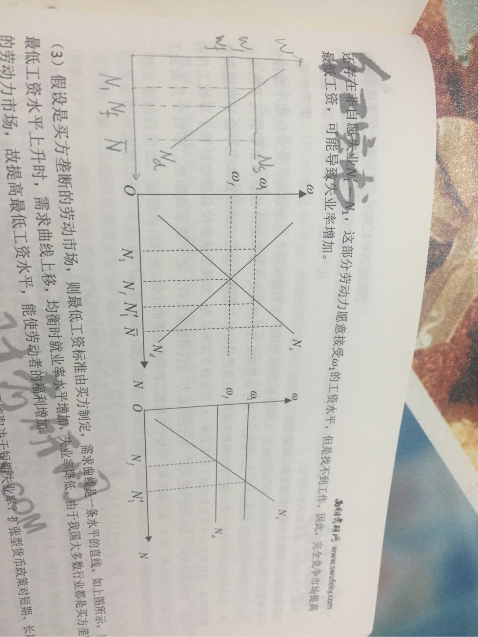 235322dcc5ntcoz7imlmub.jpg